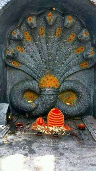 நாக தோஷ பரிகாரம் பற்றிய 50 சிறப்பு தகவல்கள்