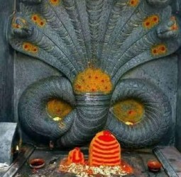 நாக தோஷ பரிகாரம் பற்றிய 50 சிறப்பு தகவல்கள்