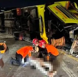 இந்தோனேசியாவில் பஸ் கவிழ்ந்து விபத்து - 15 பேர் பலி