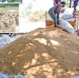 காலிங்கராயன் பாசன பகுதிகளில் 980 மெட்ரிக் டன் நெல் கொள்முதல்