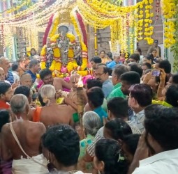 சிறப்பு அலங்காரத்தில் பக்தர்களுக்கு அருள்பாலித்த தலசயன பெருமாள்