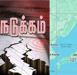 ஜப்பானில் சக்தி வாய்ந்த நிலநடுக்கம்: ரிக்டர் அளவில் 7.5 ஆக பதிவு