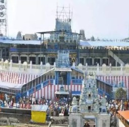 விடுமுறை தினம்: திருத்தணி முருகன் கோவிலில் குவிந்த பக்தர்கள்