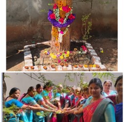 கார்த்திகை மாதம் சோமவாரத்தை முன்னிட்டு துளசி, நெல்லி பூஜை சிறப்பு வழிபாடு