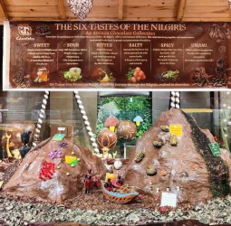 ஊட்டியில் கிறிஸ்துமஸ், புத்தாண்டை வரவேற்கும் விதமாக நடக்கும் சாக்லேட் திருவிழா