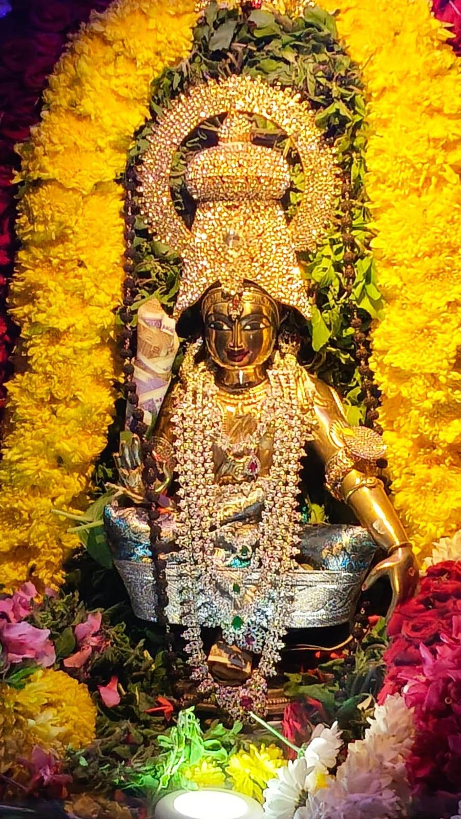 புலி வாகனத்தில், ஐயப்பன் திருவீதி உலா