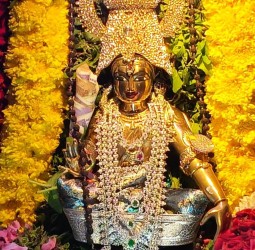 புலி வாகனத்தில், ஐயப்பன் திருவீதி உலா