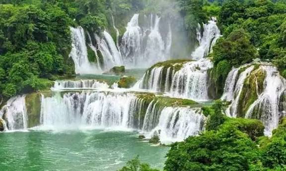 பசுமையை நேசி