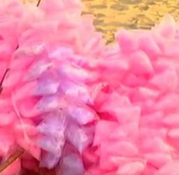 புதுச்சேரியில் பஞ்சு மிட்டாய் விற்க மேலும் ஓராண்டு தடை