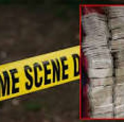 டெல்லி முதல்-மந்திரியை கொல்ல சதி திட்டம்; 2 பேருக்கு எதிராக குற்றச்சாட்டு பதிவு