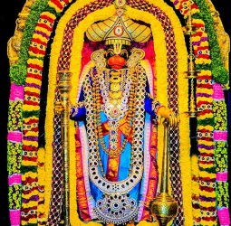 ஸ்ரீ சஞ்சீவி ஆஞ்சநேயர் திருக்கோவிலில் நேற்று ஆஞ்சநேயர் விஸ்வரூப ராஜ மாருதி அலங்காரத்தில்