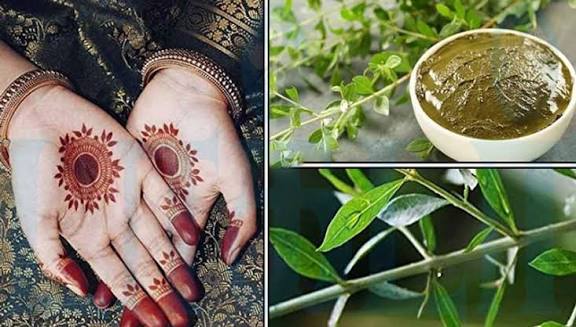 மருதாணியின் மருத்துவ குணங்கள்!