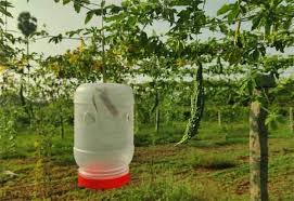 ஈரத்தை அறிந்து செயல்படும் நானோ களைக்கொல்லி கண்டுபிடிப்பு: வேளாண் பல்கலைக்கழகத்துக்கு காப்புரிமை