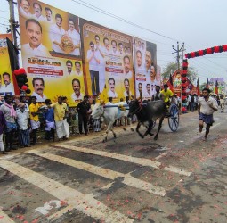 மச்சுவாடி பகுதியில் துணை முதல்வர் உதயநிதி பிறந்தநாளினை முன்னிட்டு மாபெரும் மாட்டுவண்டி,குதிரை வண்டி பந்தயம்