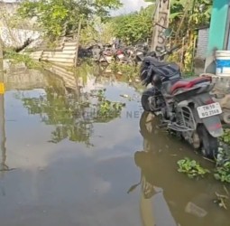 செம்பரம்பாக்கம் ஏரி நிரம்பியதால் வெளியேறும் உபரி நீர்