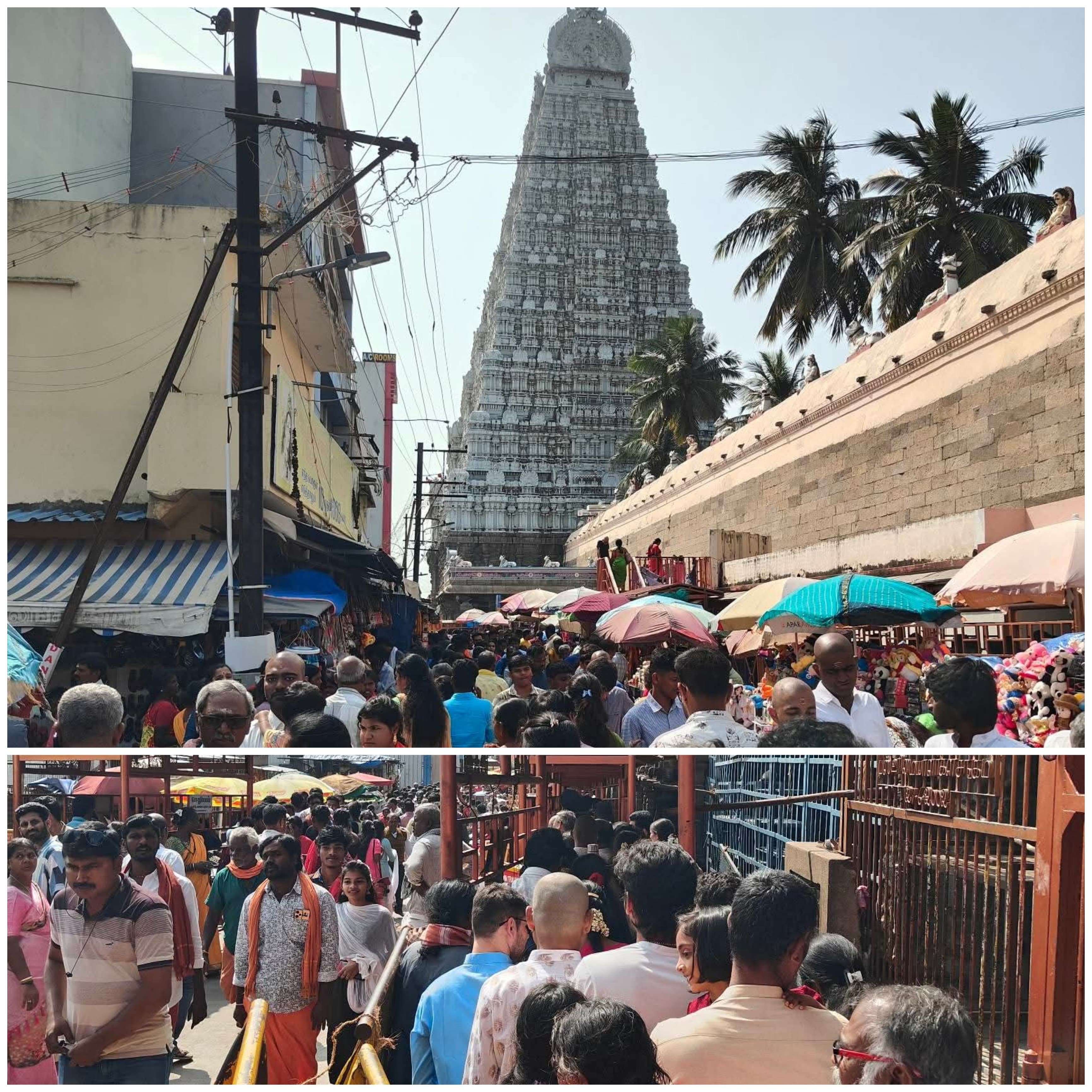 அலைமோதும் கூட்டம்........