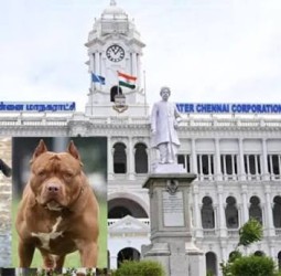 சென்னையில் பிட்புல், ராட்வீலர் நாய்களுக்கு நாளை முதல் தடை