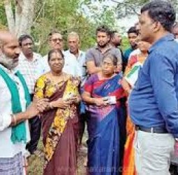 நெற்பயிர்கள் பாதிப்பு: கணக்கெடுப்பு பணி தீவிரம்