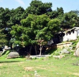 மஹாபாரதத்துடன் தொடர்புடைய கவுரவ குந்தா மலை