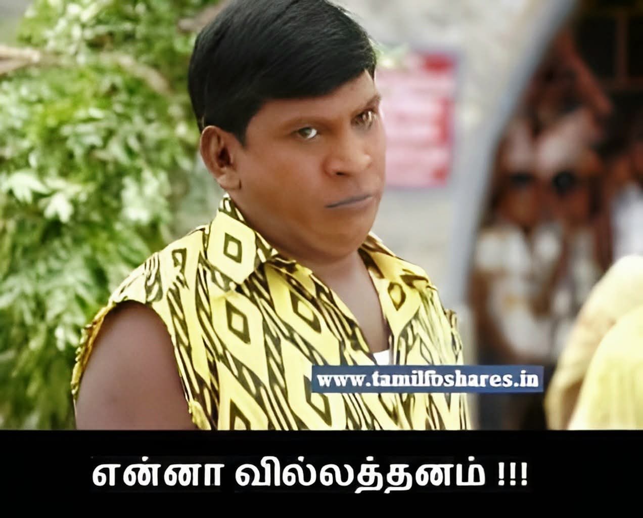 ஒண்டிக்கட்டை