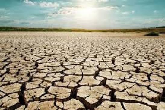 பசியை மறக்கப் பாட்டு