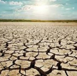 பசியை மறக்கப் பாட்டு