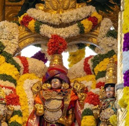 ஸ்ரீதேவி,பூதேவி சமேதராக ரதயாத்திரை