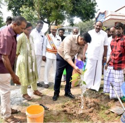 வலங்கைமான் அருகே உள்ள மாணிக்க மங்கலம் ஊராட்சியில் மகாத்மா காந்தி தேசிய ஊரக வேலை வாய்ப்பு திட்டத்தின் கீழ் 100 மரக்கன்றுகள் நடும் பணி
