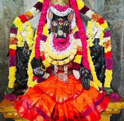 வராஹி அம்மன் பஞ்சமி சிறப்பு வழிபாடு