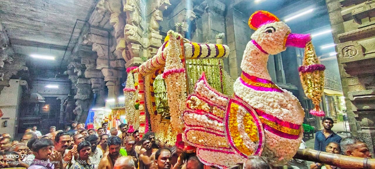 கிரிபிரகாரத்தில் தங்க பூப்பல்லக்கில் சுவாமி நெல்லையப்பர் உலா