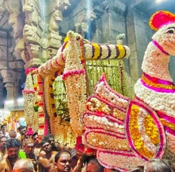 கிரிபிரகாரத்தில் தங்க பூப்பல்லக்கில் சுவாமி நெல்லையப்பர் உலா