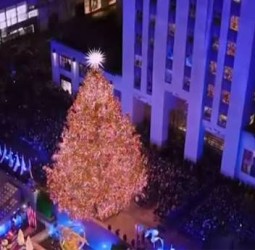 நியூயார்க் நகரில் 7 மாடி உயர பிரம்மாண்ட கிறிஸ்துமஸ் மரம் - களைகட்டும் விழாக்கால கொண்டாட்டம்