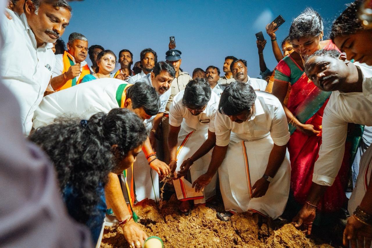 பனை மரத்தின் விதைகள் நடும் விழா