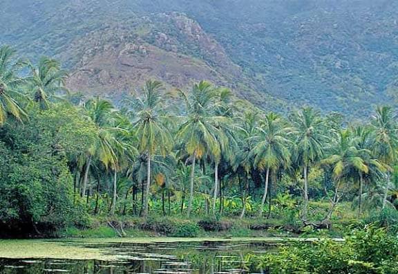 இயற்கைப் போற்றுவோம்