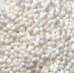 ஜவ்வரிசியின் மருத்துவப் பயன்கள்