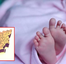 தமிழகத்தில் குழந்தை பிறப்பு விகிதம் 18 சதவீதம் சரிவு; காரணம் என்ன?