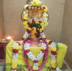 சிறப்பு அலங்காரத்தில் அருள்பாலிக்கும் சர்வலிங்கேஸ்வர பெருமான்