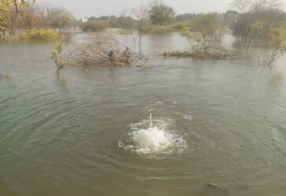 விடுபட்ட குளங்களை அவிநாசி - அத்திக்கடவு திட்டத்தில் இணைக்க தவிச வலியுறுத்தல்