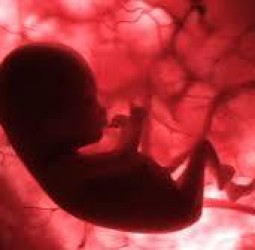 வாழ்க்கை எனும் கருவறை,