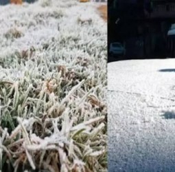 ஊட்டியில் கடும் குளிர் : உறைபனியால் மக்கள் தவிப்பு