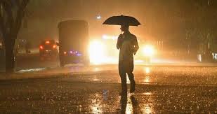 கோவை, நீலகிரி மாவட்டங்களில் நாளை முதல் 5 நாட்களுக்கு மிக கனமழை வாய்ப்பு