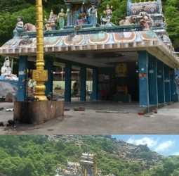 வெடால் பச்சையம்மன் ஆலய தீமிதி விழா