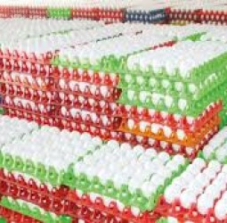 நாமக்கல்: முட்டை கொள்முதல் விலை அதிரடியாக குறைப்பு