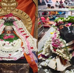 வந்தவாசி பகுதியில் பிரதோஷ வழிபாடு...!