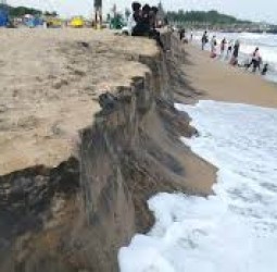 புத்தன்துறையில் கடல் அரிப்பு  தடுப்புசுவர் கட்ட ஏற்பாடு