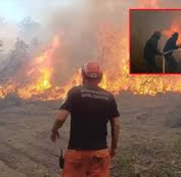 துருக்கியில் காட்டுத்தீ; 14 பேர் பலி