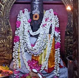 ஆனி மாத சங்கடஹர சதுர்த்தி சிறப்பு பூஜை......