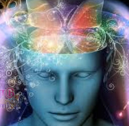 மனமே மாமருந்து