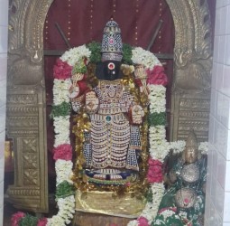 வாசவி கன்யகா பரமேஸ்வரி அம்மன் முத்தங்கி அலங்காரத்தில் அருள் பாலிக்கும் காட்சி