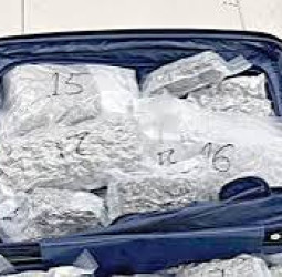 திருச்சி விமான நிலையத்தில் ரூ.12 கோடி மதிப்பிலான ஹைட்ரோ கஞ்சா பறிமுதல்